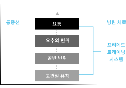 근육 통계